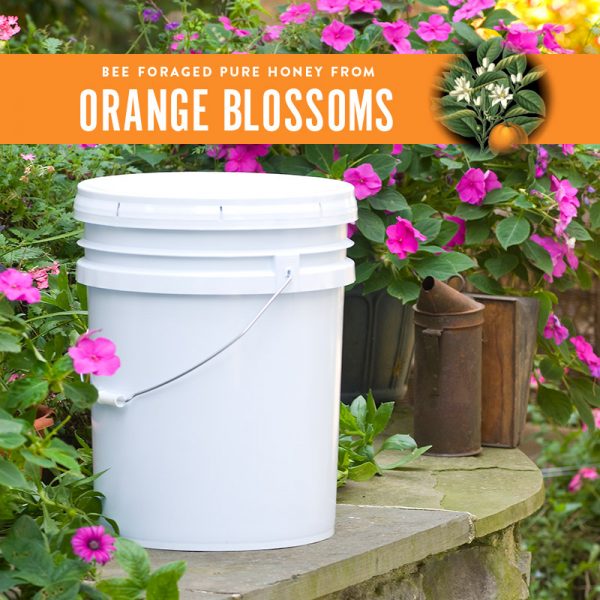 Orange Blossom Honey Pail