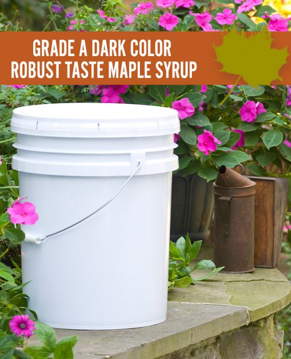 Dark Color Robust Taste Maple Syrup Pail