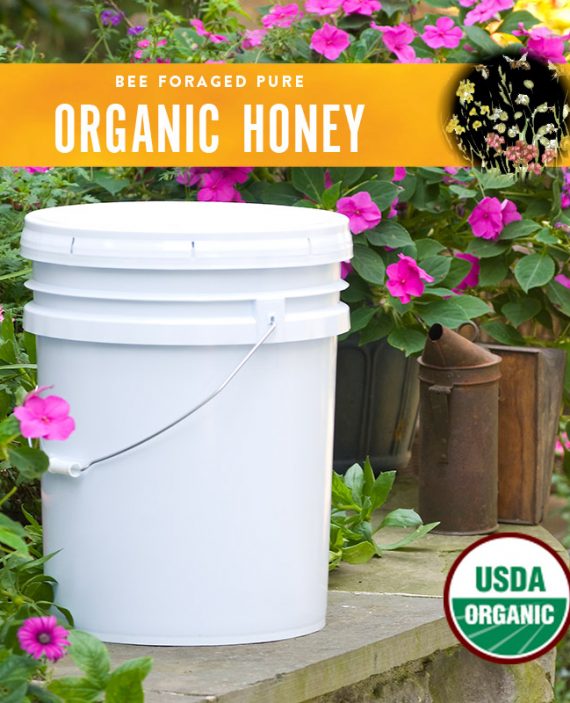 Organic Honey Pail